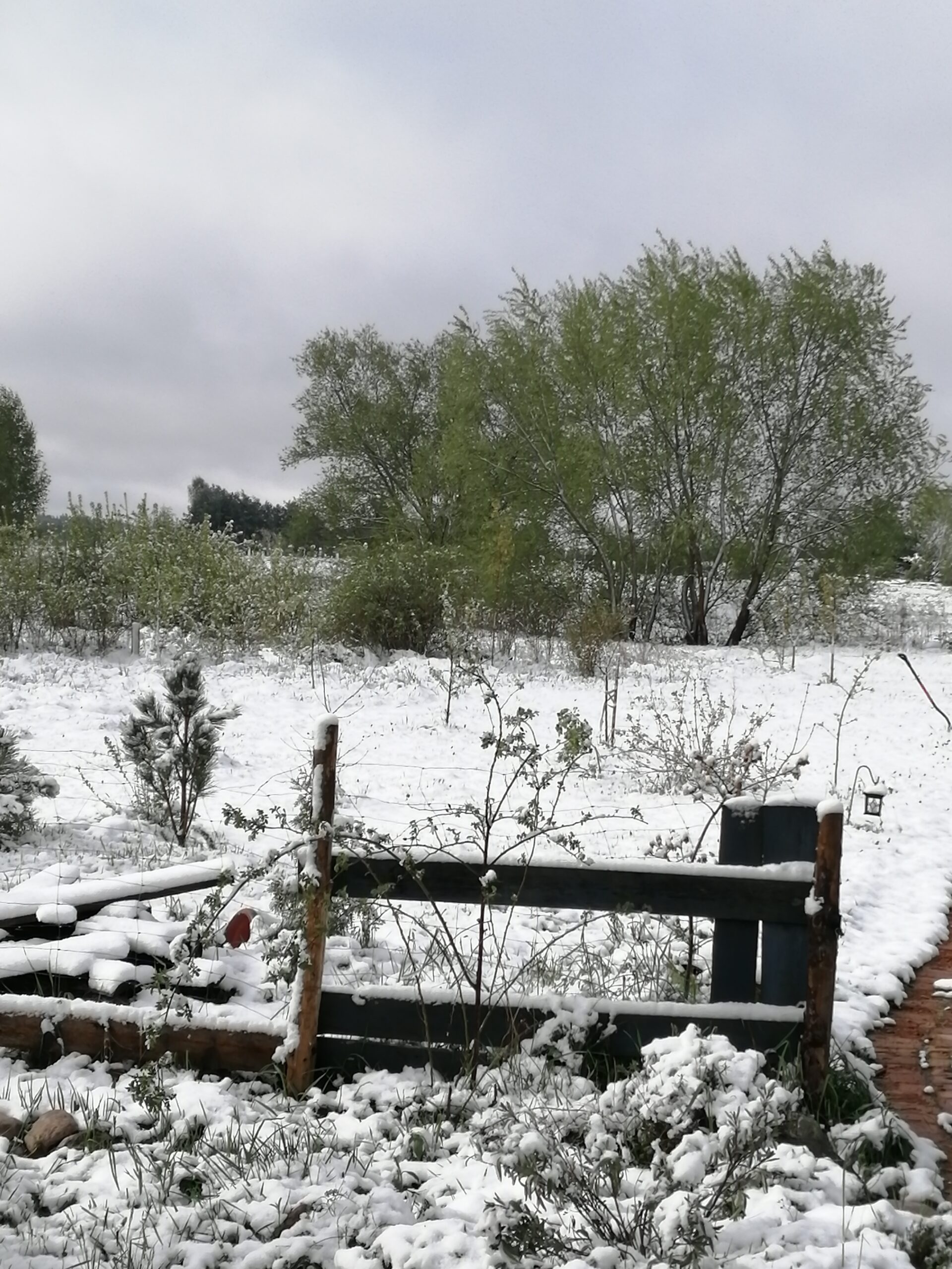 Starego siedliska czar