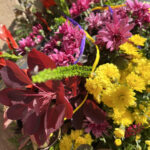 Wiązanka na grób albo pogrzeb z własnego ogrodu